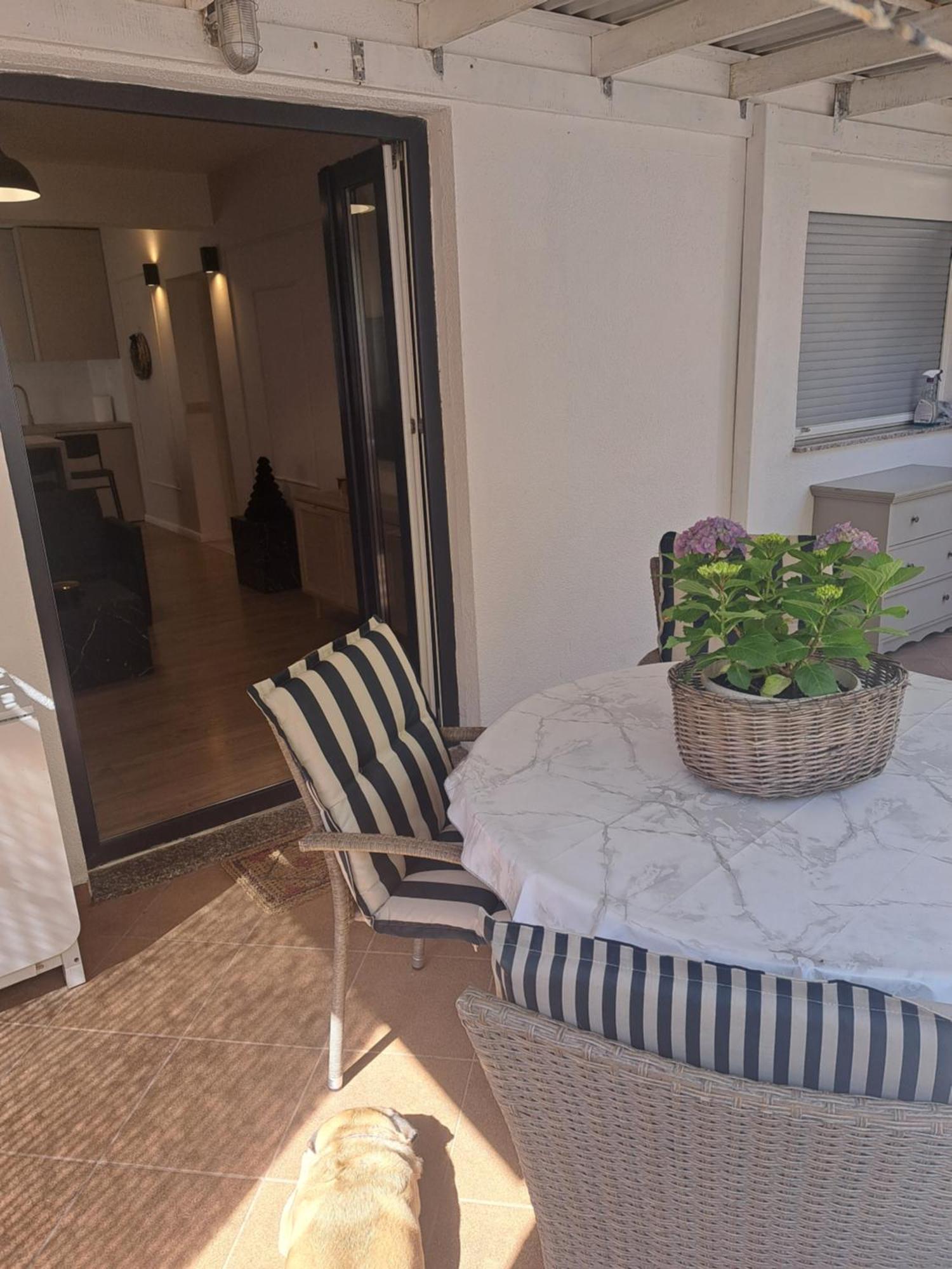 Apartman Petra 扎达尔 外观 照片