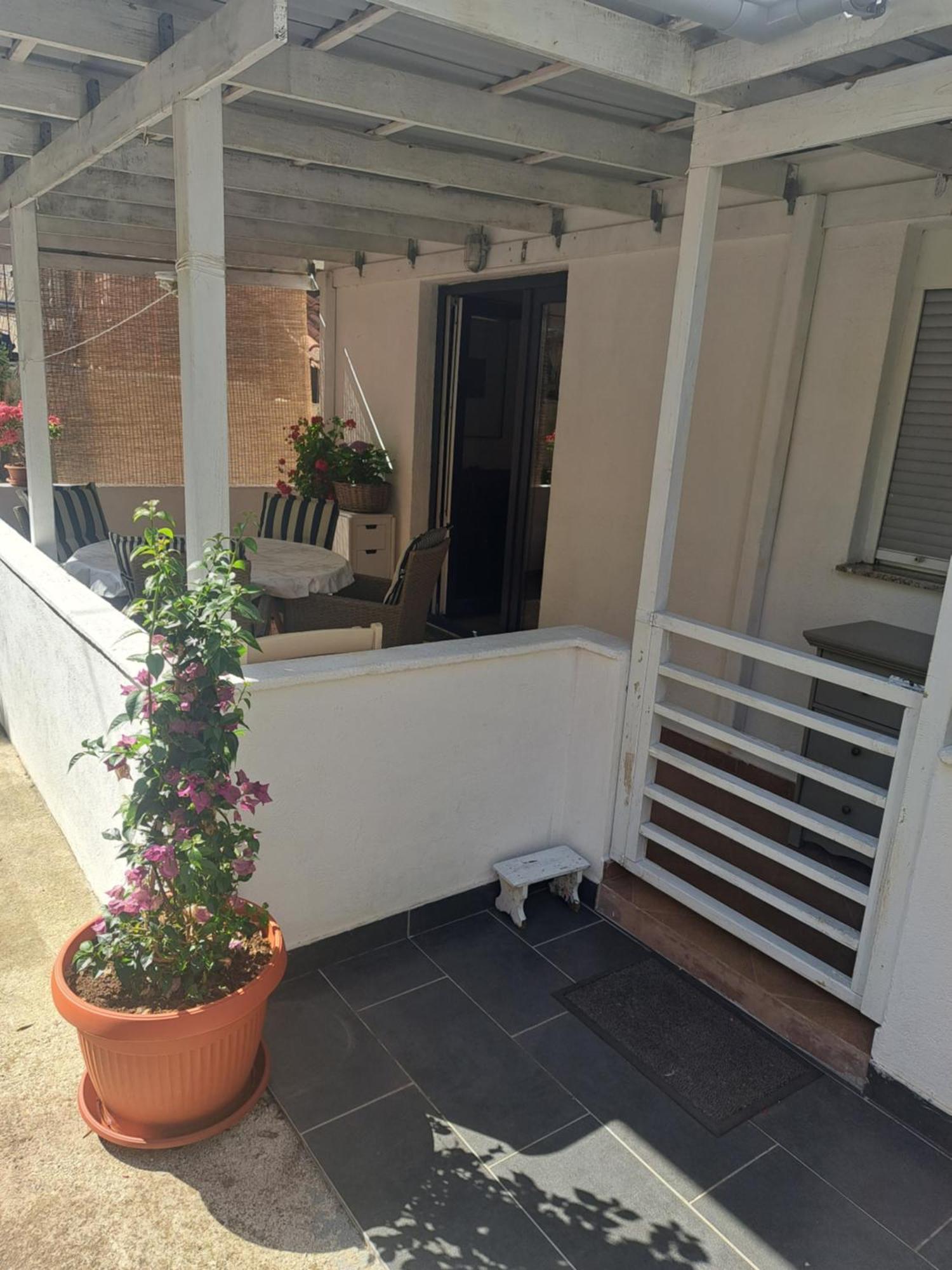 Apartman Petra 扎达尔 外观 照片