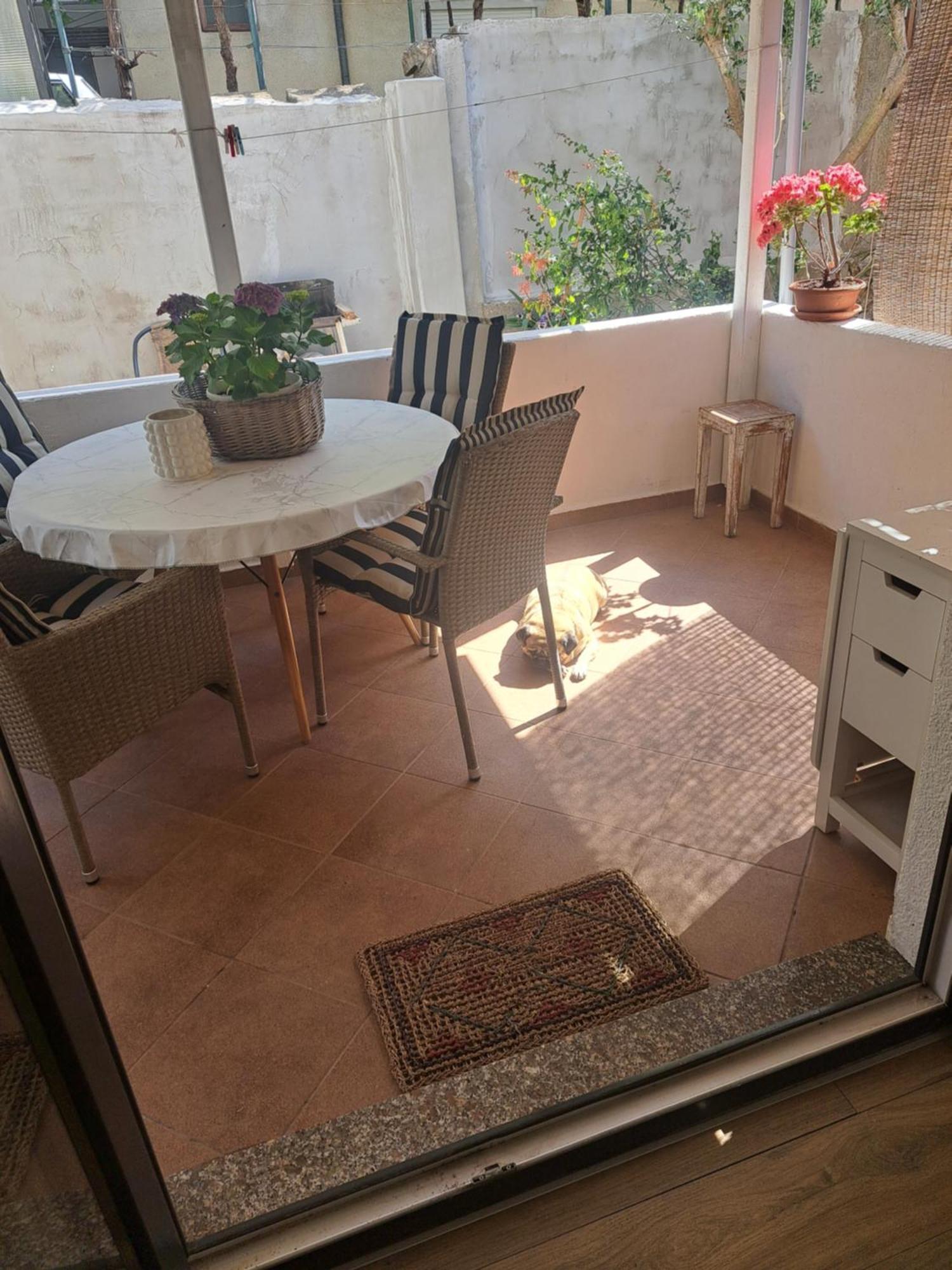 Apartman Petra 扎达尔 外观 照片